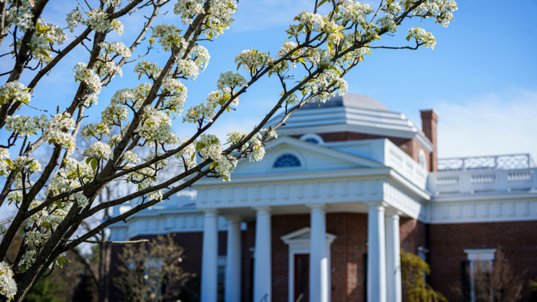 A cottonwood tree with blossoms is in focus with the Blake Center in the background.